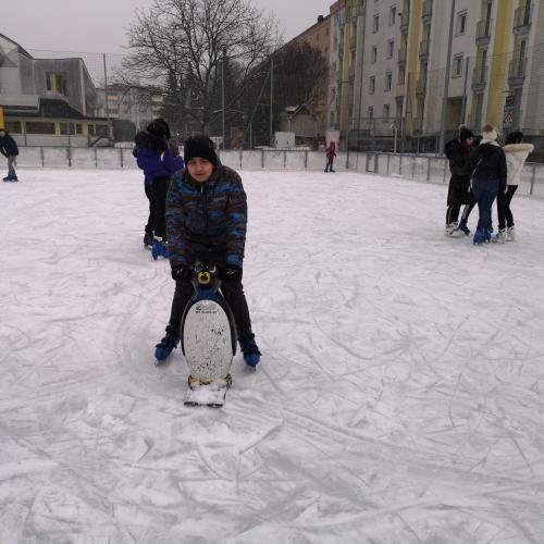 Eislaufen mit Pinguin