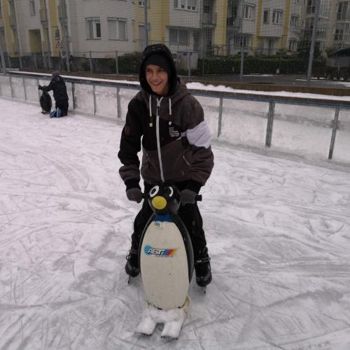 Eislaufen mit Pinguin
