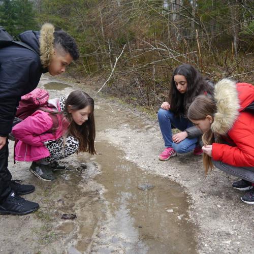 Froschlaich wird genauer beäugt.