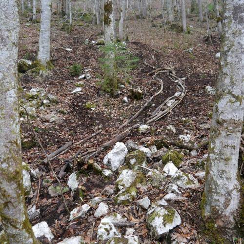 Kugelbahn XXL im Wald.