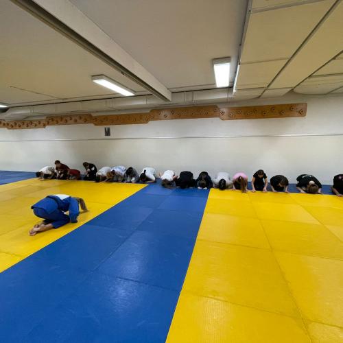 Judo