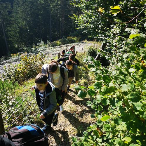 Wandertag 1b