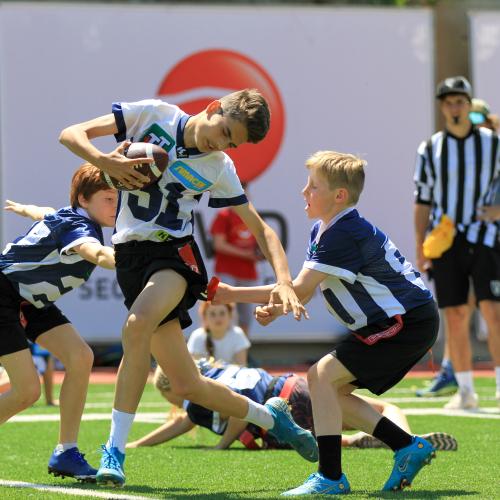 2a in Action