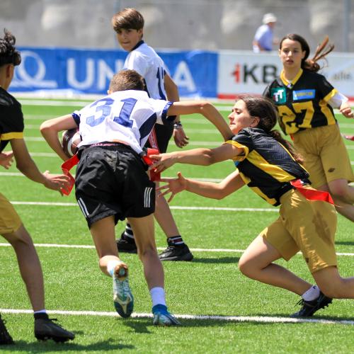 2a in Action