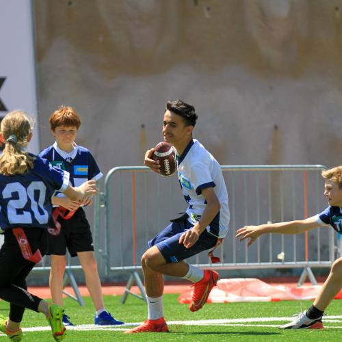 2a in Action
