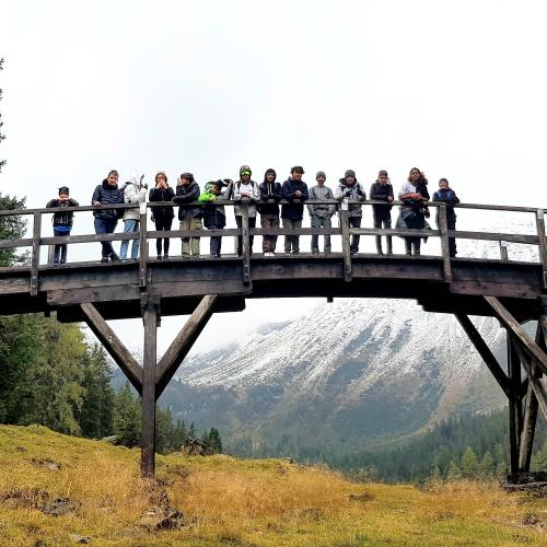 Brücke