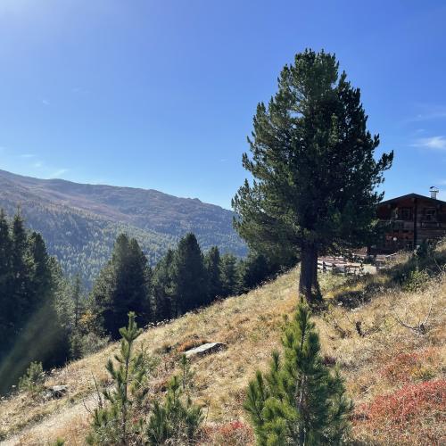 Wandertag 2bc