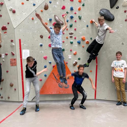 Bild 12