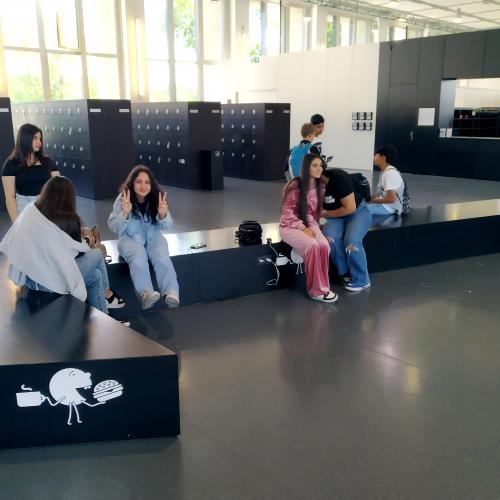 d Museum