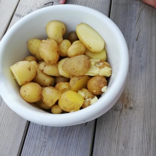 Kartoffeln gekocht