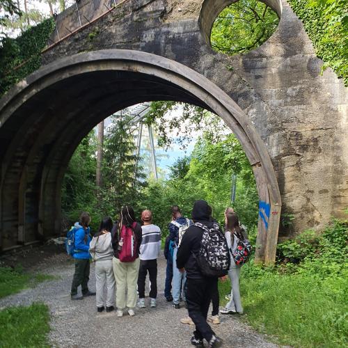 Waldschule