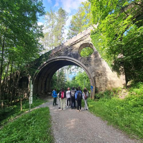 Waldschule