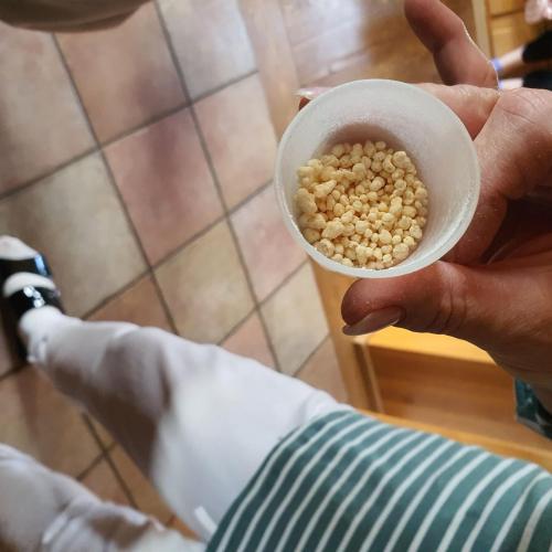 Milchsäurebakterien