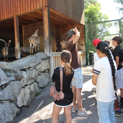 Alpenzoo