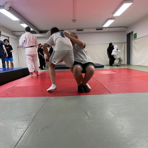 judo