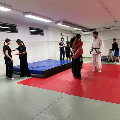 judo