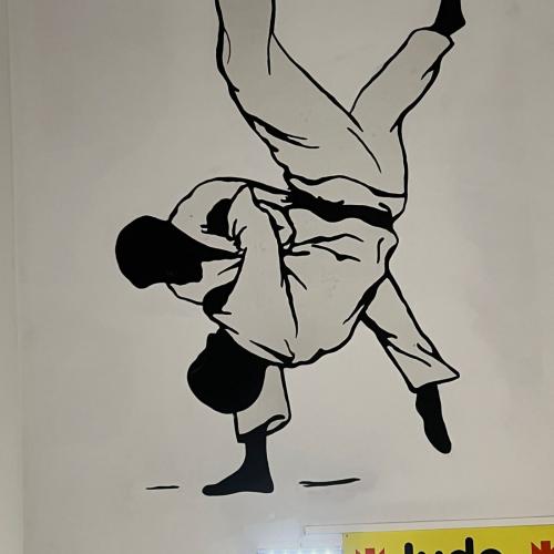 judo