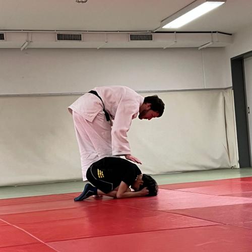 judo