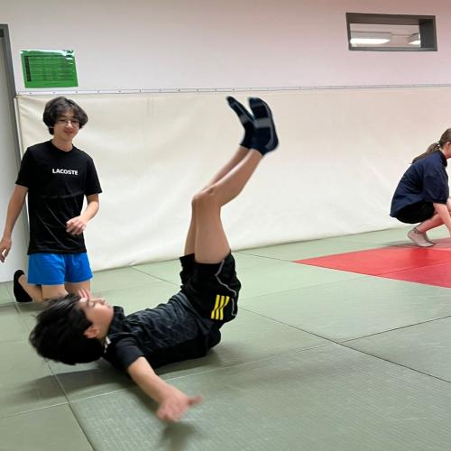 judo