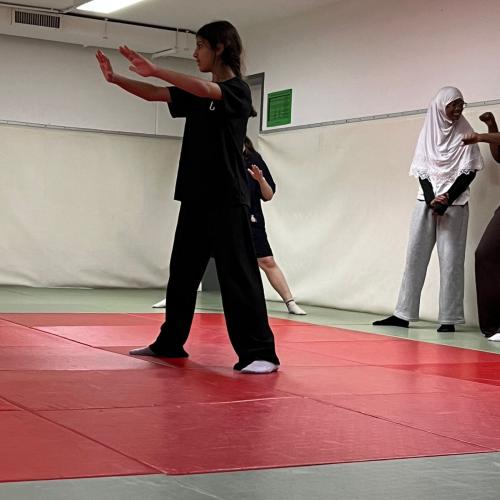 judo