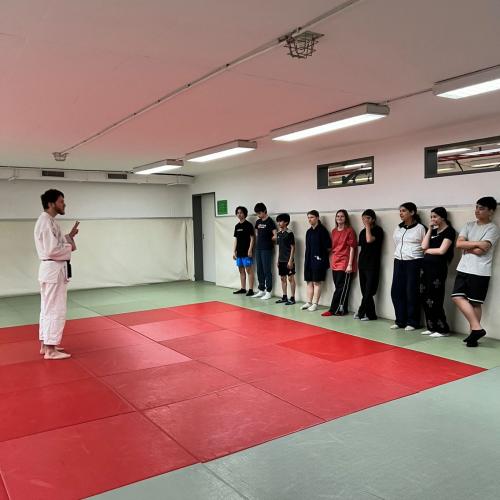judo