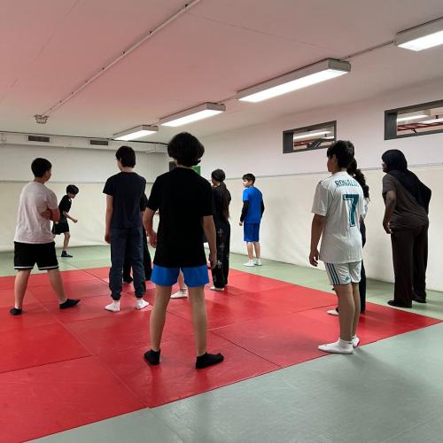 judo