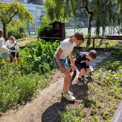 Garten