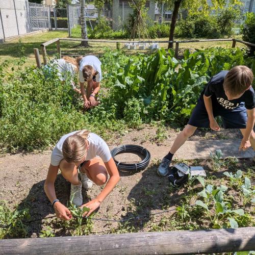 Garten