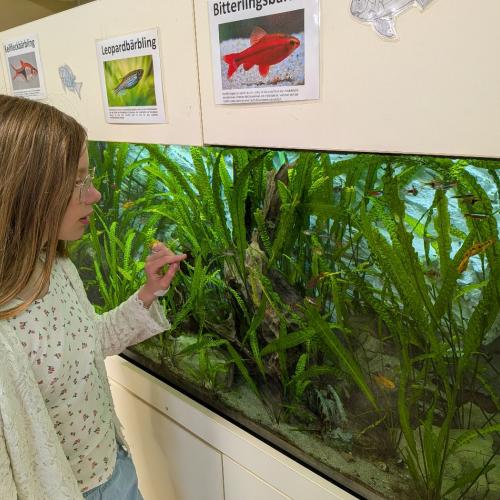 Aquarium
