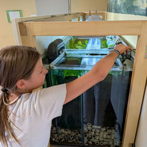 Aquarium