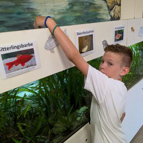 Aquarium