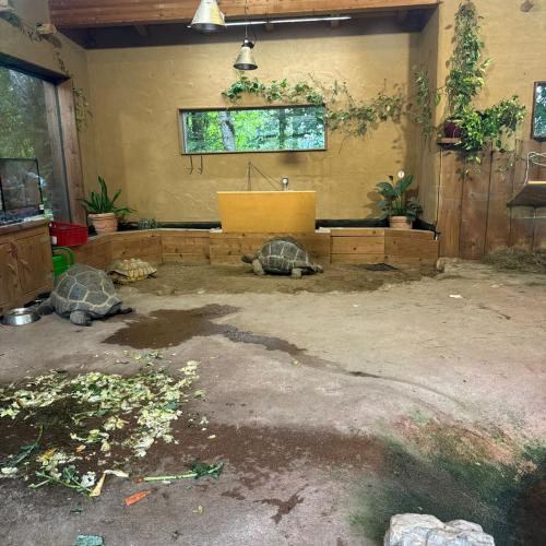 4a Raritätezoo