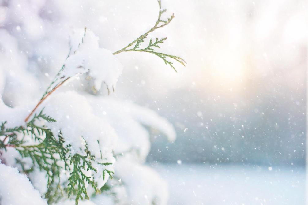 schnee001