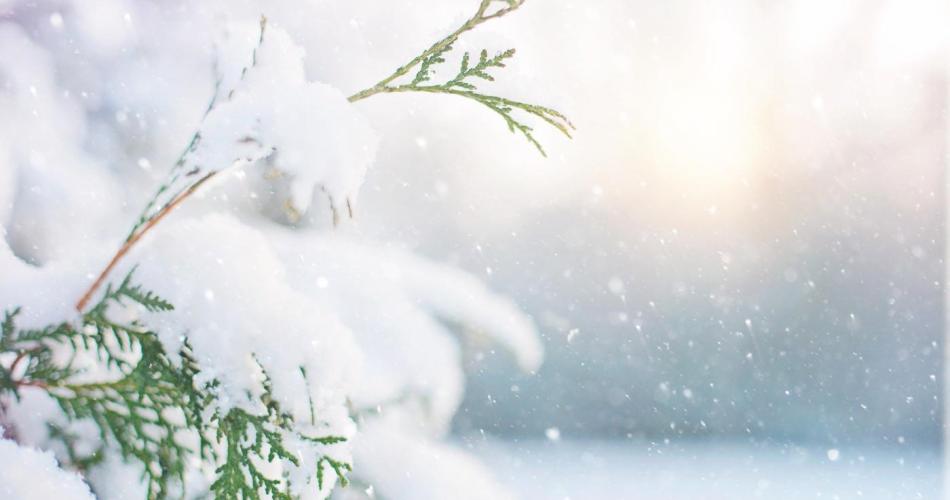 schnee001