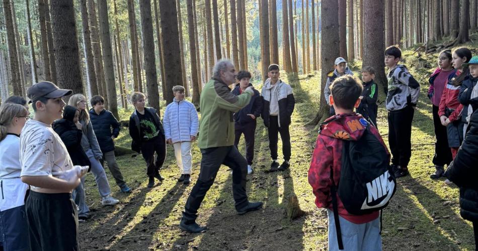 Wald