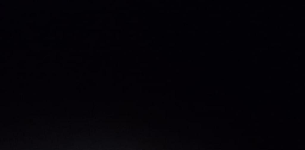 Eintagsfliegenlarve Eintagsfliegenlarve